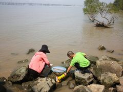 -宝安西湾红树林湿地公园