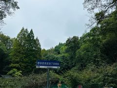 -灵栖洞天