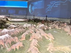 -中国铁道博物馆(正阳门馆)