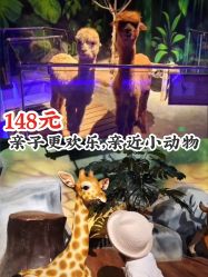 -未来动物城动物主题公园(大悦城店)