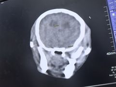 -北京观赏动物医院·24小时大型综合·猫专科·异宠专科