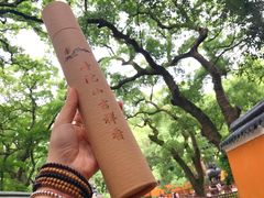 -普陀山风景名胜区-法雨禅寺