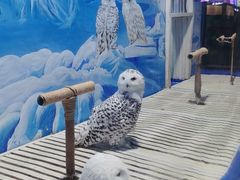 -成都浩海立方海洋公园