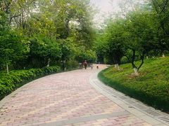 -玉树公园
