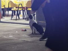 -大学城夜市大排档(凤栖路店)