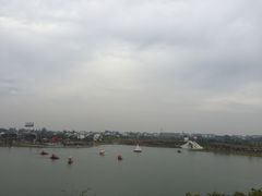-金卉庄园