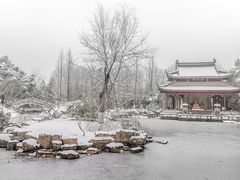 -高尔山公园