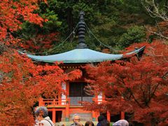 -醍醐寺