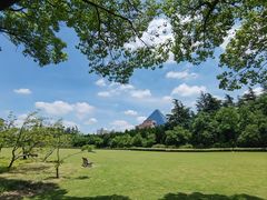 -上海市龙华烈士陵园