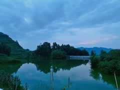 -陈记柳州螺蛳粉(大坪店)