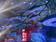 -烟台海昌鲸鲨海洋公园