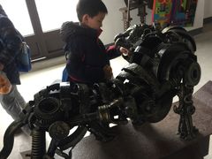 -上海长兴岛郊野公园