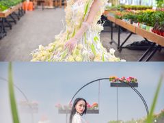 -荷兰花海