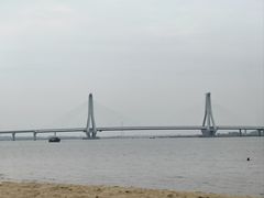 -红树林天天赶海