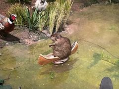 -陕西自然博物馆