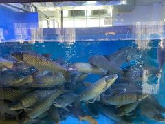 -淘米捞·米汤脆鲩鱼火锅(福田皇岗店)
