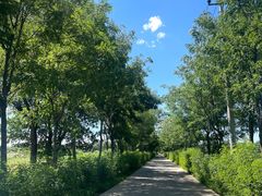 -西青郊野公园