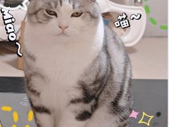 -烤匠麻辣烤鱼(万象城店)