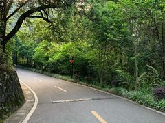 -广州市流溪河国家森林公园