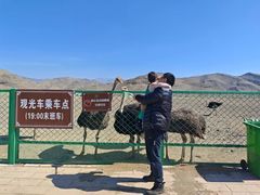 -新疆天山野生动物园