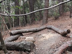 -青龙山国家森林公园