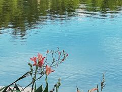 -人民公园(罗湖区)