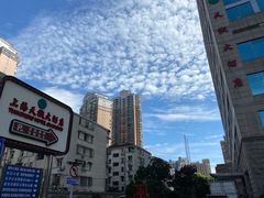 -顺风海鲜港(金玉兰店)