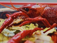 -小鳌陪你小排档·四季小龙虾·田鸡·宵夜(中央第五街店)