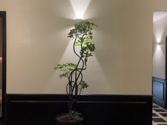 -涟LIAN·泰式按摩·MASSAGE·SPA(深业上城店)