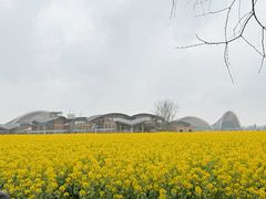 -中国天府农业博览园