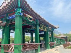 -莲花池公园