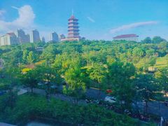 -厦门市图书馆(集美新城馆区)
