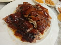 -姚林轩