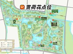 -昆山城市生态森林公园