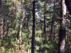 -帽儿山国家森林公园