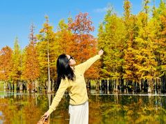 -白鹭湾湿地公园