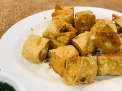 普宁炸豆腐-揭阳钟记小食(福田新村店)