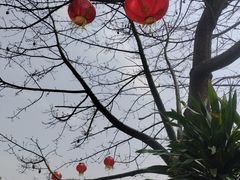 -凤阁楼果木烧鹅(鹤山陈山店)