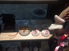 -植物学家的女儿(北马道巷店)