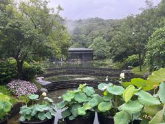 -云溪植物园