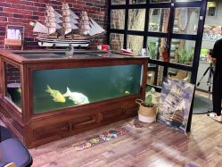 -青木造型HAIR·あおき髪を刈る潮人店