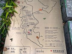 -千岛湖东南湖区