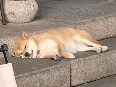 -衣裳街历史文化街区