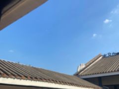 -长洲岛