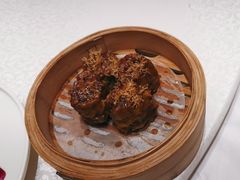-宝园酒家(美林M·LIVE天地东座店)