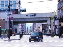 -奈良公园