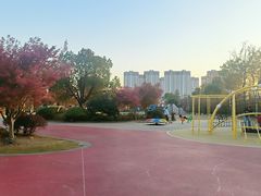-澹台湖公园