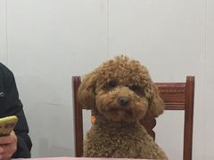 -翠茗农庄土菜馆(天目湖店)