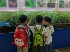 -上海昆虫博物馆