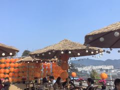 -伴山茶苑·围炉煮茶